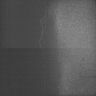 Thumbnail for dataset Whole_brain_POGZWT-Q1038R_20170830_05321