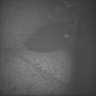 Thumbnail for dataset Whole_brain_POGZWT-Q1038R_20170830_05758