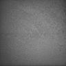 Thumbnail for dataset Whole_brain_POGZWT-Q1038R_20170830_10452