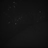 Thumbnail for dataset Whole_brain_POGZWT-Q1038R_20170830_10712
