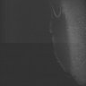 Thumbnail for dataset Whole_brain_POGZWT-Q1038R_20170830_11150