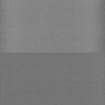 Thumbnail for dataset Whole_brain_POGZWT-Q1038R_20170830_11259