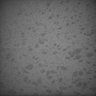 Thumbnail for dataset Whole_brain_POGZWT-Q1038R_20170830_11517