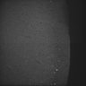 Thumbnail for dataset Whole_brain_POGZWT-Q1038R_20170830_11734