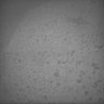 Thumbnail for dataset Whole_brain_POGZWT-Q1038R_20170830_12101