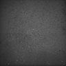 Thumbnail for dataset Whole_brain_POGZWT-Q1038R_20170830_12429