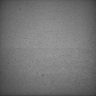 Thumbnail for dataset Whole_brain_POGZWT-Q1038R_20170830_12647