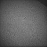 Thumbnail for dataset Whole_brain_POGZWT-Q1038R_20170830_12905