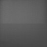 Thumbnail for dataset Whole_brain_POGZWT-Q1038R_20170830_13123