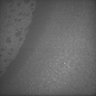Thumbnail for dataset Whole_brain_POGZWT-Q1038R_20170830_13708
