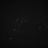 Thumbnail for dataset Whole_brain_POGZWT-Q1038R_20170830_14256