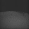 Thumbnail for dataset Whole_brain_POGZWT-Q1038R_20170830_20028