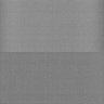 Thumbnail for dataset Whole_brain_POGZWT-Q1038R_20170830_20846
