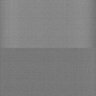 Thumbnail for dataset Whole_brain_POGZWT-Q1038R_20170830_21110
