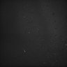 Thumbnail for dataset Whole_brain_POGZWT-Q1038R_20170830_21334