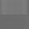 Thumbnail for dataset Whole_brain_POGZWT-Q1038R_20170830_21557