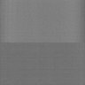 Thumbnail for dataset Whole_brain_POGZWT-Q1038R_20170830_21933