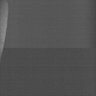Thumbnail for dataset Whole_brain_POGZWT-Q1038R_20170830_22156