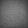 Thumbnail for dataset Whole_brain_POGZWT-Q1038R_20170830_22419