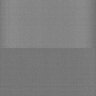 Thumbnail for dataset Whole_brain_POGZWT-Q1038R_20170830_23501