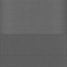 Thumbnail for dataset Whole_brain_POGZWT-Q1038R_20170830_24058