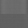 Thumbnail for dataset Whole_brain_POGZWT-Q1038R_20170830_25735