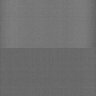 Thumbnail for dataset Whole_brain_POGZWT-Q1038R_20170830_30110