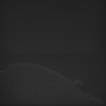 Thumbnail for dataset Whole_brain_WT_20170821_231349