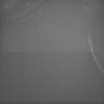 Thumbnail for dataset Whole_brain_WT_20170821_231455