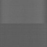 Thumbnail for dataset Whole_brain_WT_20170821_231600