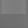 Thumbnail for dataset Whole_brain_WT_20170821_231707
