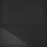 Thumbnail for dataset Whole_brain_WT_20170821_232132