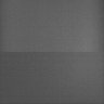 Thumbnail for dataset Whole_brain_WT_20170821_233607