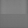 Thumbnail for dataset Whole_brain_WT_20170821_233930
