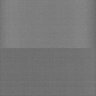 Thumbnail for dataset Whole_brain_WT_20170821_234037