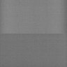 Thumbnail for dataset Whole_brain_WT_20170821_234145