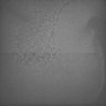 Thumbnail for dataset Whole_brain_WT_20170821_234508