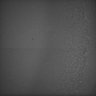 Thumbnail for dataset Whole_brain_WT_20170821_234939