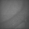 Thumbnail for dataset Whole_brain_WT_20170821_235047