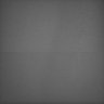 Thumbnail for dataset Whole_brain_WT_20170821_235628