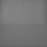 Thumbnail for dataset Whole_brain_WT_20170822_00103