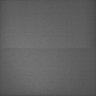 Thumbnail for dataset Whole_brain_WT_20170822_00533