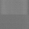 Thumbnail for dataset Whole_brain_WT_20170822_01438