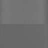 Thumbnail for dataset Whole_brain_WT_20170822_01654