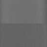 Thumbnail for dataset Whole_brain_WT_20170822_01802