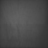 Thumbnail for dataset Whole_brain_WT_20170822_01909