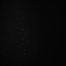 Thumbnail for dataset Whole_brain_WT_20170822_02018