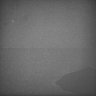 Thumbnail for dataset Whole_brain_WT_20170822_02126
