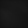 Thumbnail for dataset Whole_brain_WT_20170822_02450