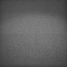 Thumbnail for Whole_brain_WT_20170822_02559
